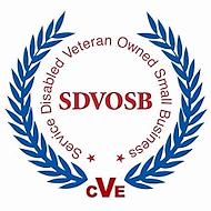 Service-Disabled Veteran-Owned Business